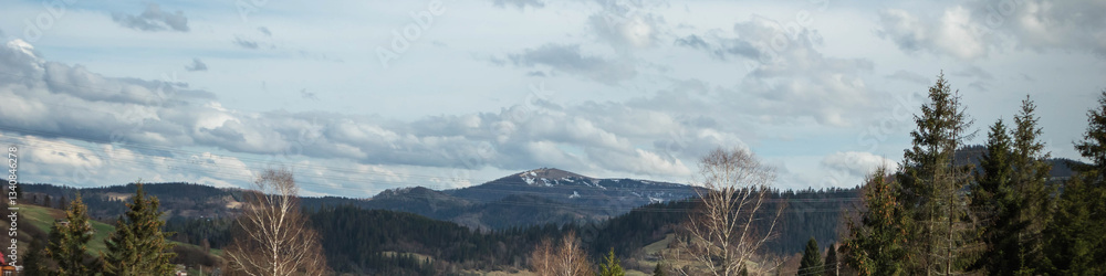 Panoramic Spring Landscape of Carpathian Mountains with Pine Trees and Clouds Panoramic Spring Landscape of Carpathian Mountains with Pine Trees and Clouds