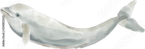 Hand drawn dolphin, watercolor style.