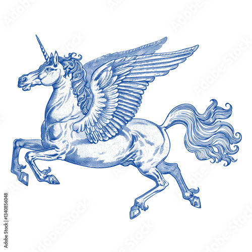 Hand drawn pegasus drawing animal wings vector