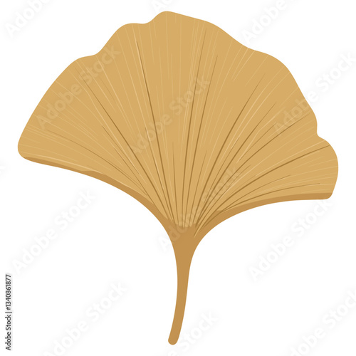Brown ginkgo leaf illustration simple plant vector