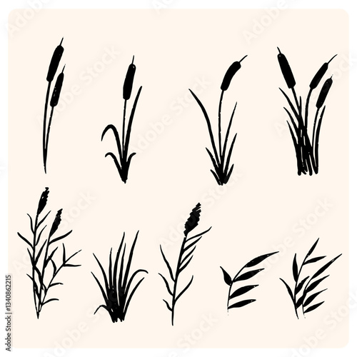 Beach grass, reeds silhouette isolated on white