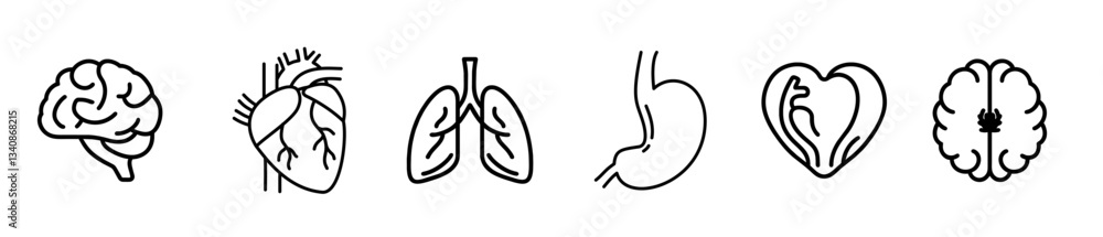 Obraz premium Human Anatomy icon set. Vector. editable