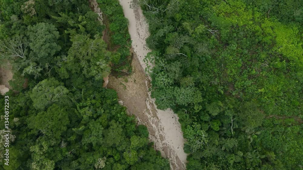 River creek trail in Bolivia jungle rainforest nature, aerial view Pilón Lajas Biosphere Reserve River creek trail in Bolivia jungle rainforest nature, aerial view Pilón Lajas Biosphere Reserve