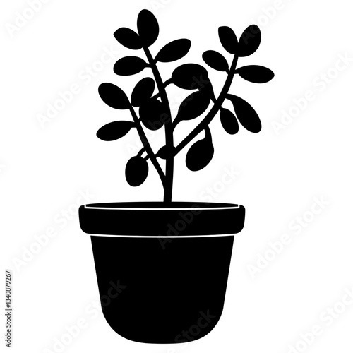 Potted plant with jade plant silhouette potted black vector