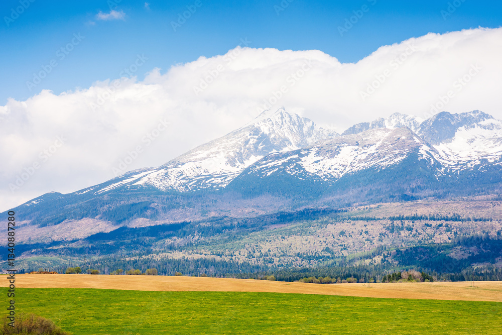 tatra mountain landscape in spring. scenic nature of europe for travel. slovakia countryside scenery with snow on the peak. beautiful alpine view with blue sky and cloud for tourism
