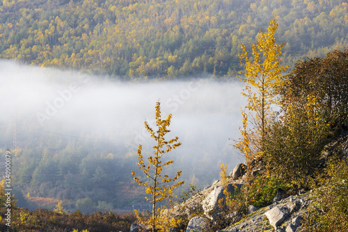 Obraz na płótnie Beautiful autumn landscape. Trees with yellow foliage on a mountain slope. Fog in the mountains. Natural background. Travel and hiking in nature. Fall season. September. w salonie