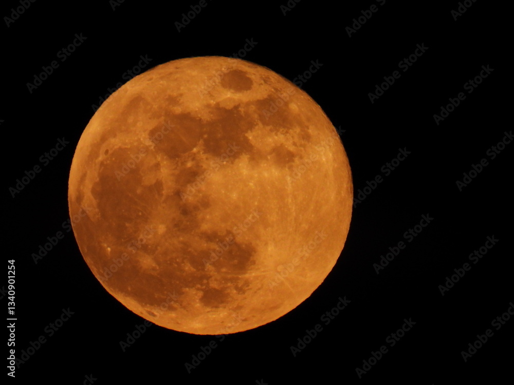 Fototapeta premium full moon in the night