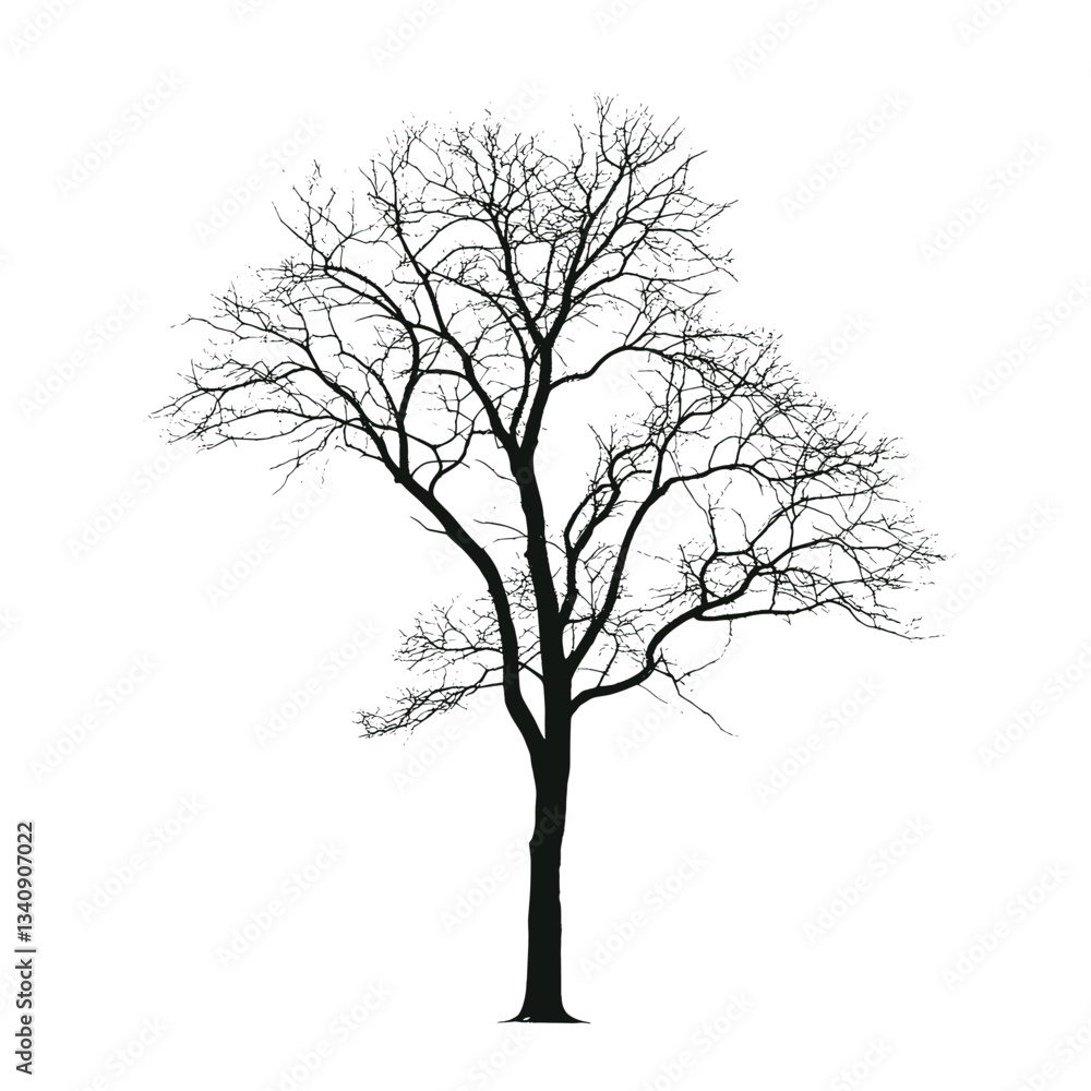 Fototapeta premium Higher tree silhouette illustration isolated vector