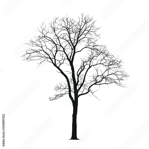 Higher tree silhouette illustration isolated vector