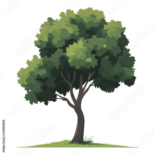Coco tree illustration art sycamore vector