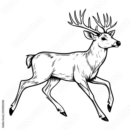 Simple male deer running linear art illustration wildlife vector