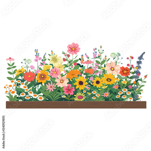 Flowers garden border illustration art asteraceae vector