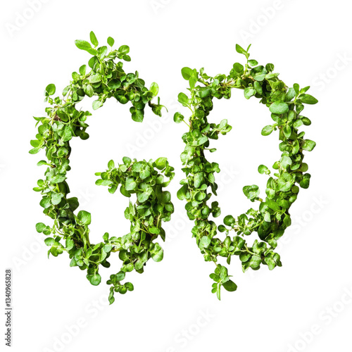 Wallpaper Mural Green leafy letters forming the word go, designed with vibrant foliage elements, isolated on transparent background, cutout png Torontodigital.ca