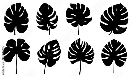 Minimalist vector illustration of eight monstera leaf silhouettes, black botanical shapes on white background, modern tropical aesthetic concept of graphic design, digital art, print patterns