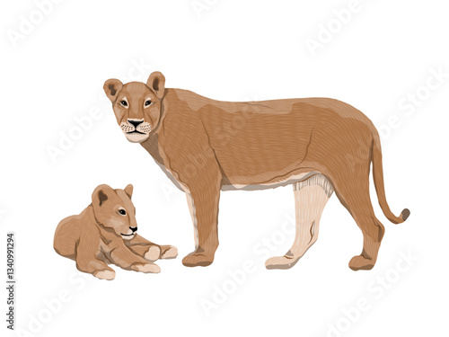 African lioness and her lying cub. Realistic vector animal