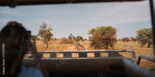 Fototapeta Naklejka Na Ścianę i Meble -  Tourist photographing giraffe on safari in tarangire national park, tanzania