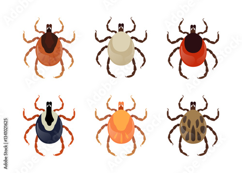 Six different types of mites on a white background