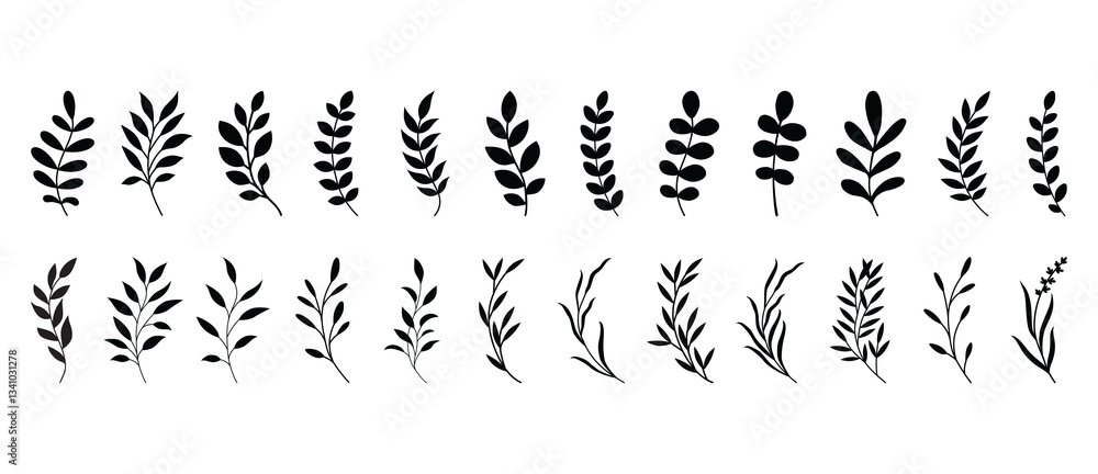 Naklejka premium Minimalist feminine botanical floral branch. Simple summer, spring branches with leaves. Botanical elements. Floral branch set. Black silhouette. Flower logo design element. Hand drawn wedding herbs