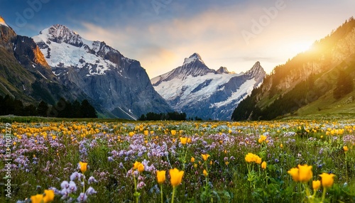 Quadro su tela Field of Wildflowers in the Swiss Alps