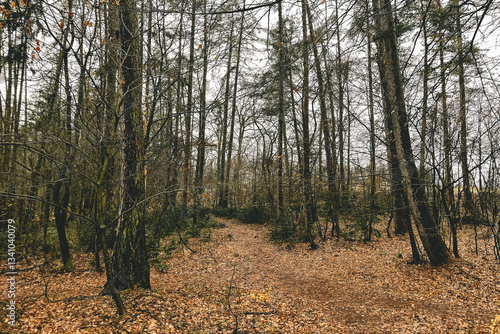 Exploring roads less ridden, little adventures around hometown