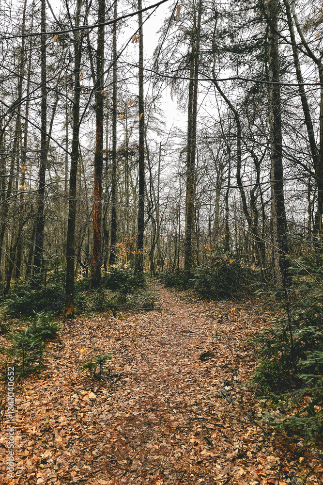 Exploring roads less ridden, little adventures around hometown Exploring roads less ridden, little adventures around hometown