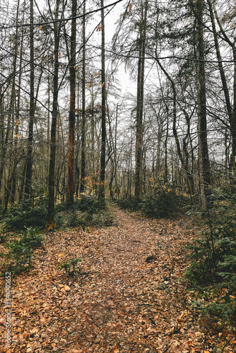 Exploring roads less ridden, little adventures around hometown