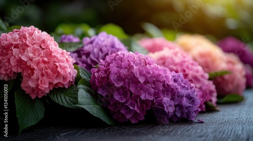 A captivating collection of hydrangeas in shades of pink, purple, and orange bask in soft sunlight, exhibiting nature's beauty and the warmth of a serene environment.