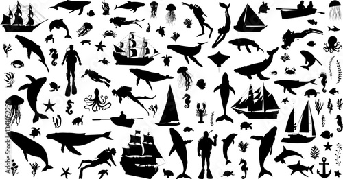 fish, scuba divers, seaweed marine collection, set silhouette vector