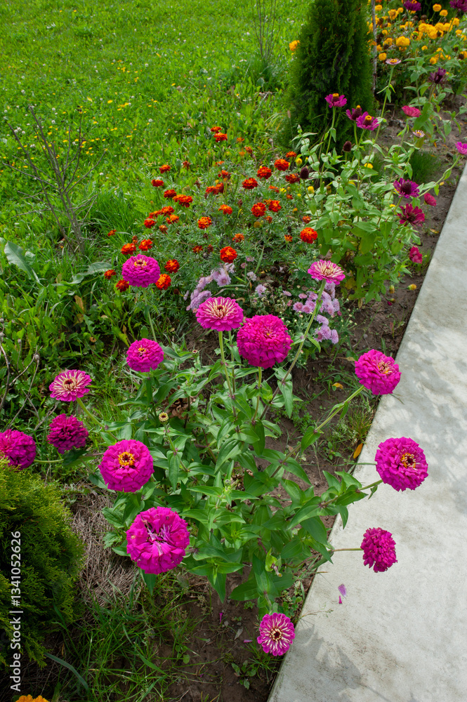 Fototapeta premium Elegant zinnia and marigold flowers on a background of green grass.