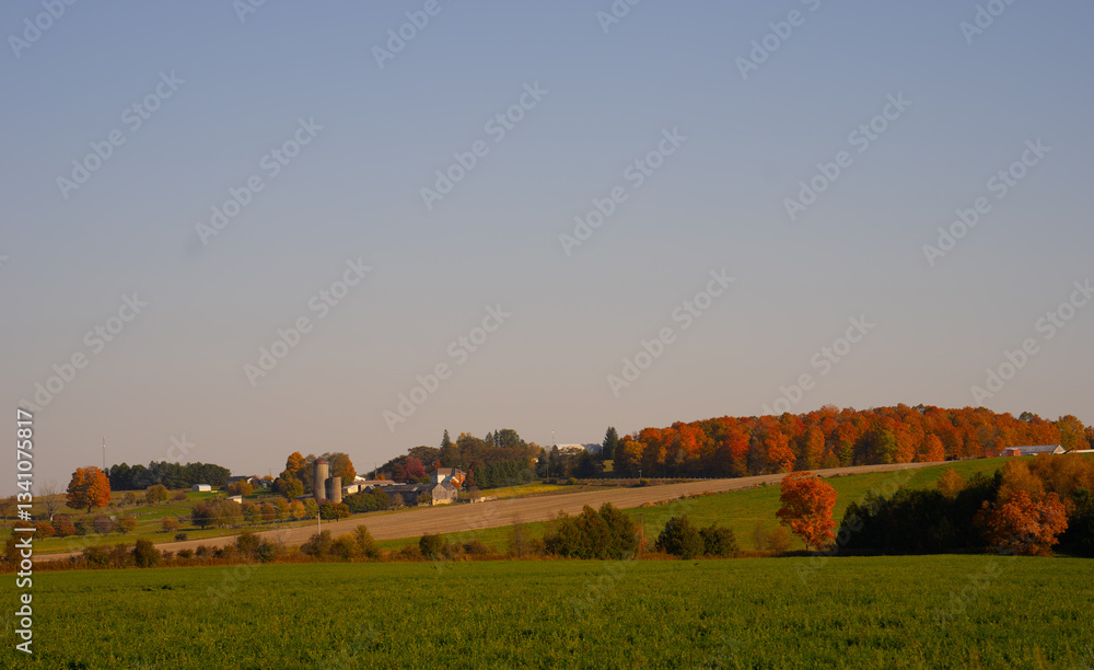 Landscape scenic in fall or autumn in Ontario Canada of rolling hills with green grass and colorful foliage on trees blue sky farm in distance horizontal farming travel or nature image room for type Landscape scenic in fall or autumn in Ontario Canada of rolling hills with green grass and colorful foliage on trees blue sky farm in distance horizontal farming travel or nature image room for type