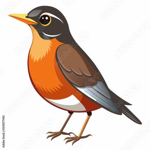 American Robin Vector Image Illustration and Design