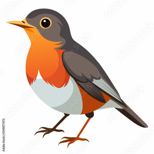 American Robin Vector Illustration Design