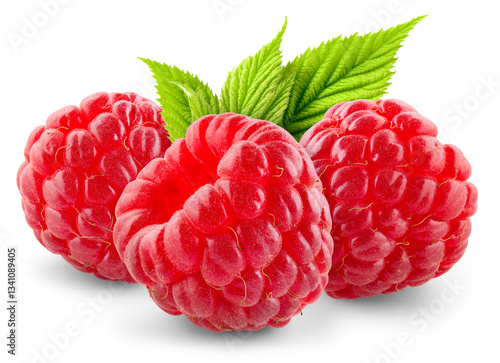 Raspberry isolated png. Three raspberries on transparent background. PNG format. Red raspberry with leaf. No background. Full depth of field.