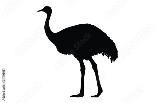 emu bird  silhouette vector,Ostrich  vector illustration 