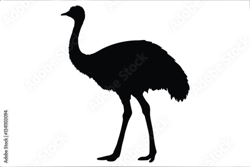 emu bird  silhouette vector,Ostrich  vector illustration 
