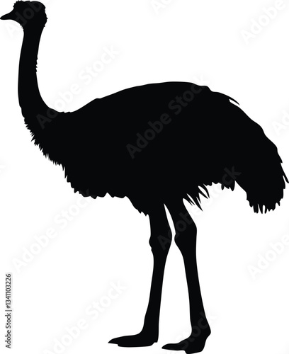 emu bird  silhouette vector,Ostrich  vector illustration 
