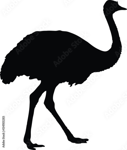 emu bird  silhouette vector,Ostrich  vector illustration 