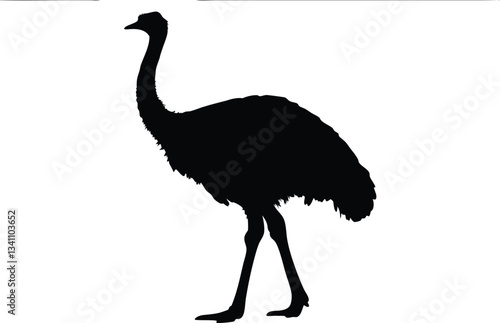 emu bird  silhouette vector,Ostrich  vector illustration 