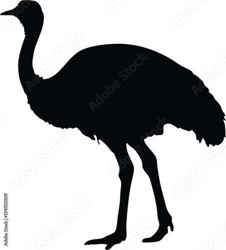 emu bird  silhouette vector,Ostrich  vector illustration 