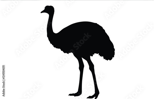 emu bird  silhouette vector,Ostrich  vector illustration 