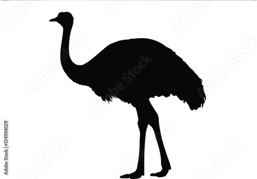 emu bird  silhouette vector,Ostrich  vector illustration 