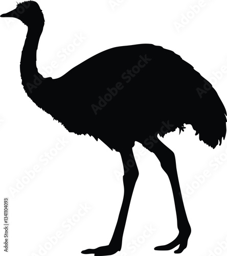emu bird  silhouette vector,Ostrich  vector illustration 