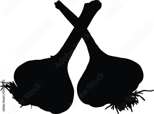 Garlic silhouette vector,Garlic icon vector