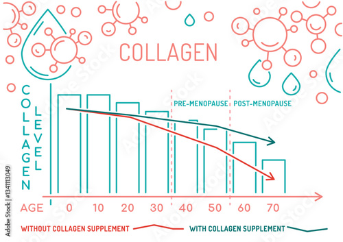Collagen production in women based on age. Medical, healthcare infographics.