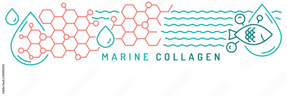 Collagen line web banner. Connective tissue protein. Collagen line web banner. Connective tissue protein.