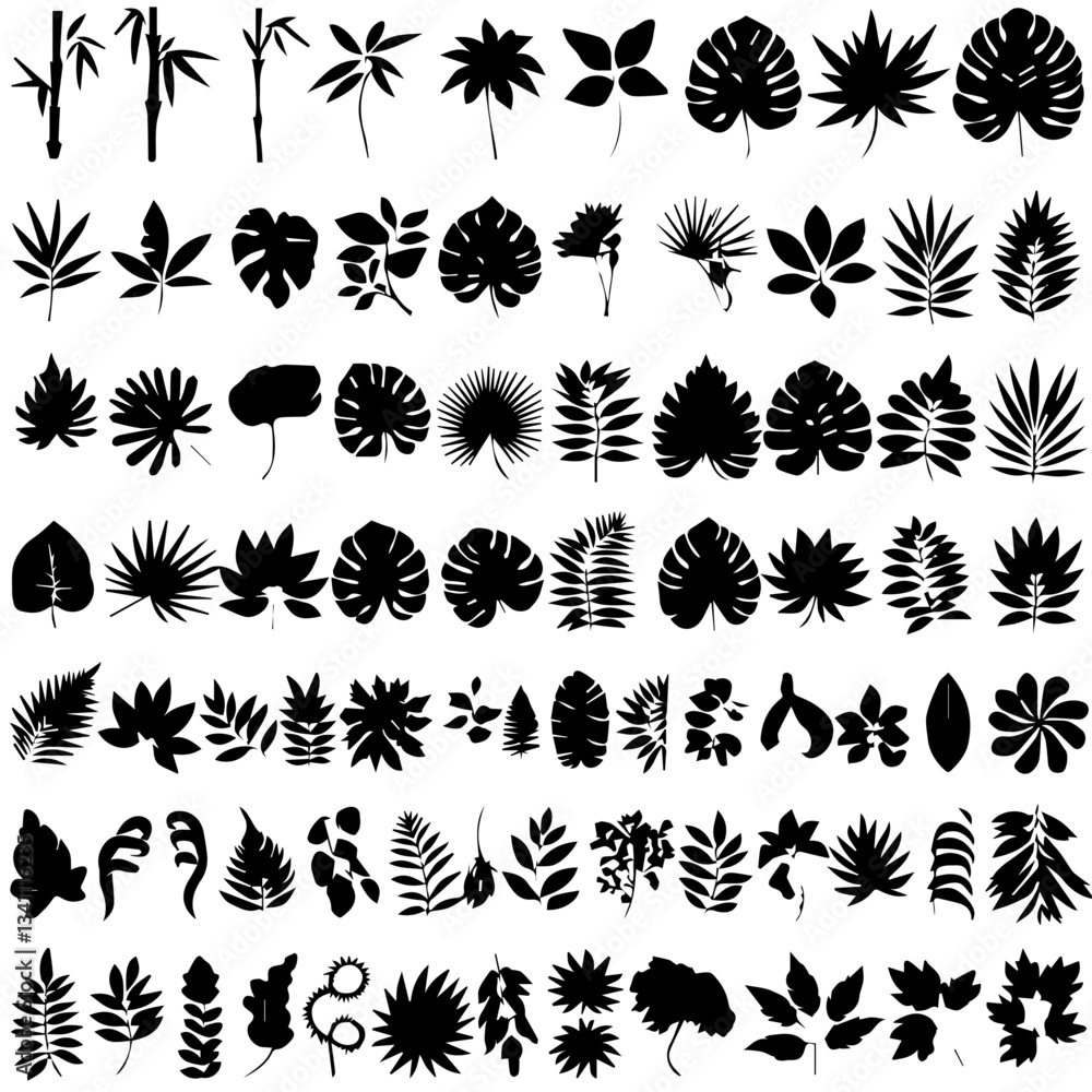 A collection of black silhouette tropical plant and tree icons, featuring various palm trees, ferns, and botanical elements in a minimalistic style on a white background. A collection of black silhouette tropical plant and tree icons, featuring various palm trees, ferns, and botanical elements in a minimalistic style on a white background.