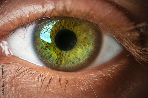 Photography macro photography eye detailed iris close up studio lights natural colors