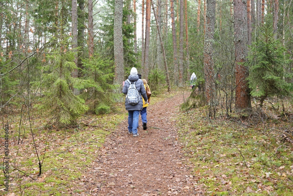 tourists with backpacks on their backs go hiking along the ecological trail in the biosphere reserve in the European part in early spring for Earth Day
