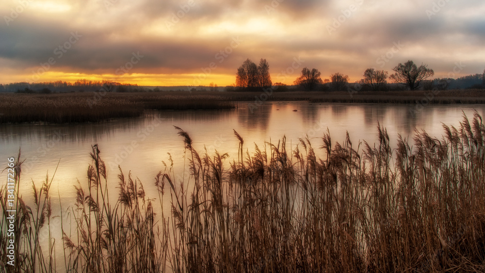 Poranek nad Stawami Dojlidzkimi, Podlasie, Polska