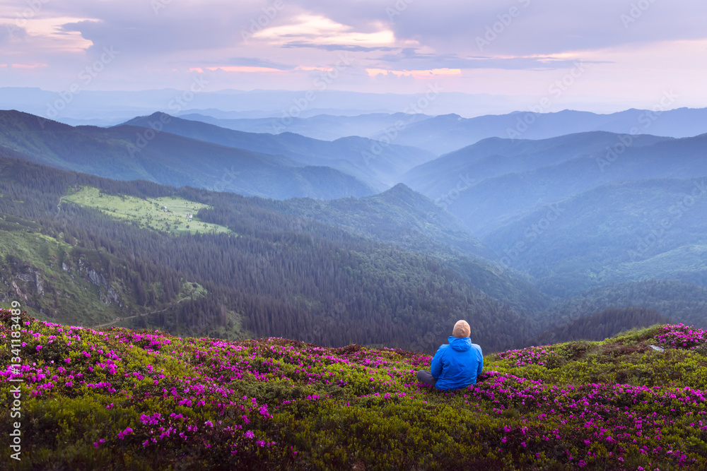 Fototapeta premium Tourist sitting on a rhododendron-covered mountain edge, admiring the purple sunset sky and distant mountain ranges. Spring mountains. Landscape photography